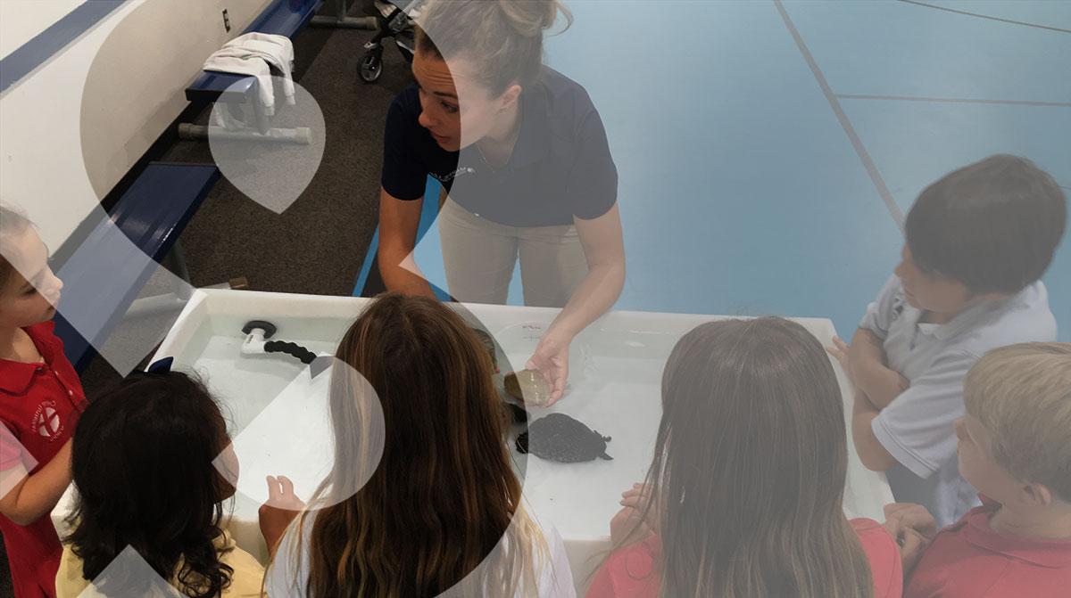 Student teaching kids about ocean animals